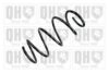 QUINTON HAZELL QCS6295 Coil Spring